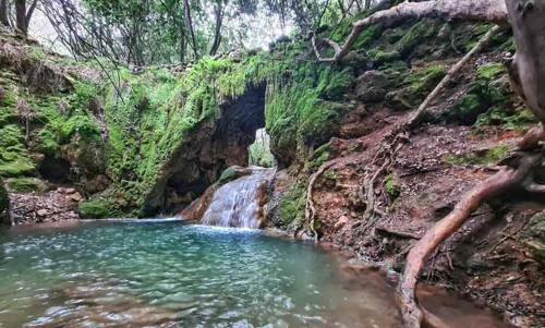 Motel Suites In The Galilee
