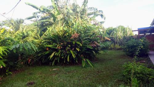 Chambre Ind�pendante Et Douche Tropicale
