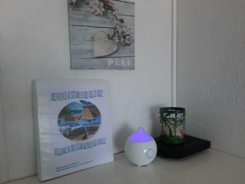 Apartamento Studio Entre Ciel Et Mer