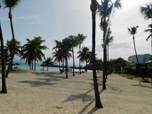 Apartamento Studio West-indies R�sidence Savane Et Archipel