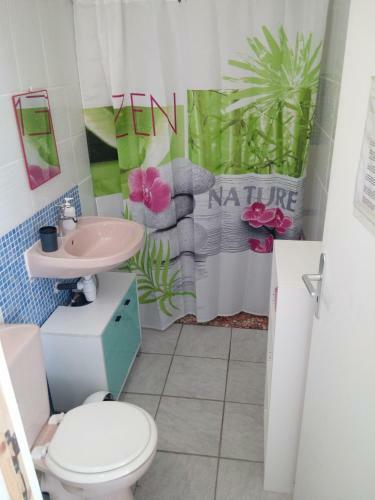 G�te Ti Raccon Nature Et Animaux