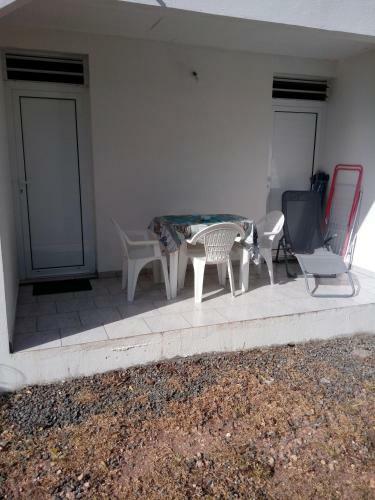 G�te Ti Raccon Nature Et Animaux