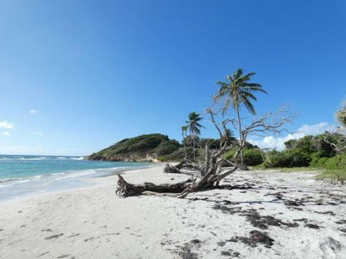 Villa Du Moulin de Saint F�lix