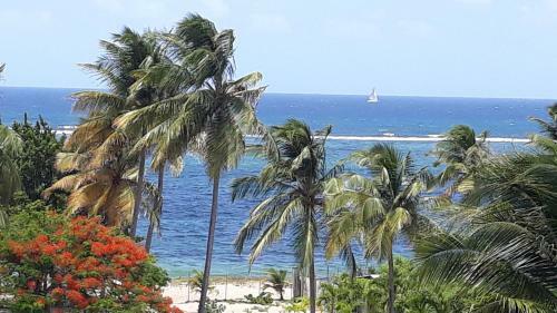 Apartamento Studio � La Semaine, Au Mois Ou Plus