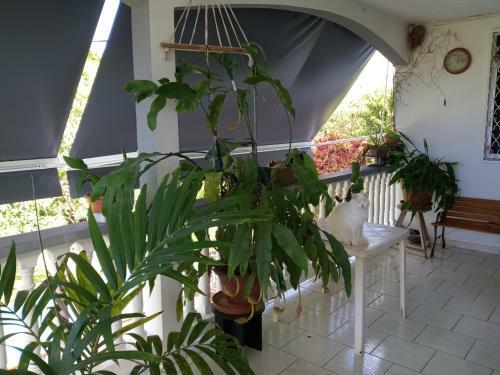 Bed & Breakfast Chez Christian Et Lydia