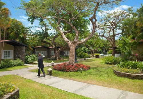 Hotel Sandals Halcyon Beach All Inclusive - Couples Only
