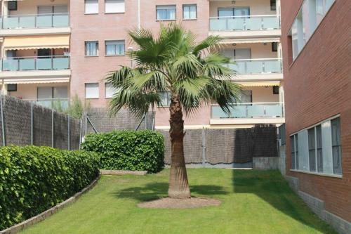 Bonito Apartamento A 250m Del Mar