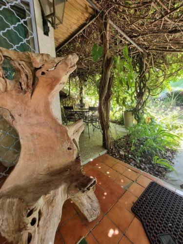 Hostal Racoon Lodge