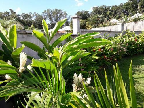 Villa Grenadine