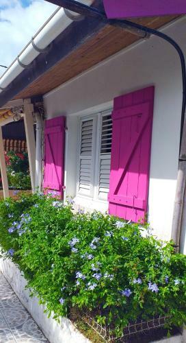 Hostal Endroit Cosy Et Chaleureux
