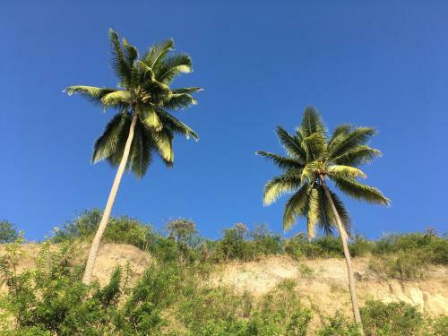 Villa Cr�ole Vue Sur Mer Des Cara�bes