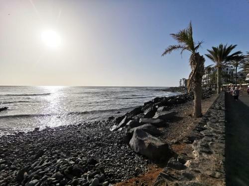 Home2book Beautiful Apart Los Cristianos Pool