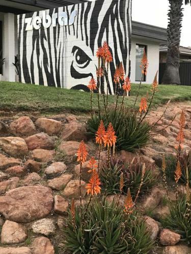 Hostal Zebras Guest House Geraldton