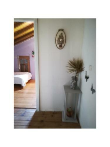 Appartement Le Citronnier