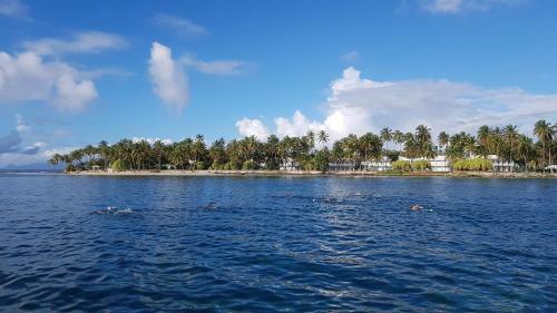 Apartamento Sail With Us 40ft Catamaran