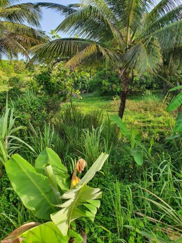 Apartamento Maison de Vacances Guadeloupe
