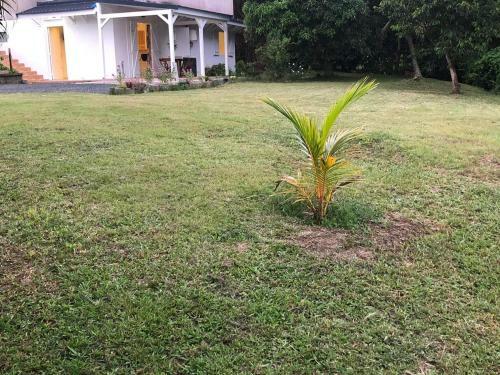 Apartamento G�te Noasol
