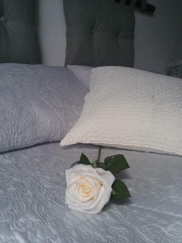 Apartamento Casa Rural "la Molina"