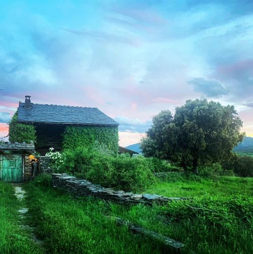 El Cuento de La Encina. Un Espacio Para Sentir