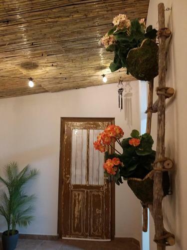 La Casa Del Abuelo �ngel