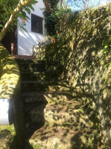 La Casina