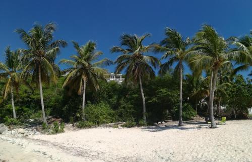 Apartamento Beach Front Bamboo