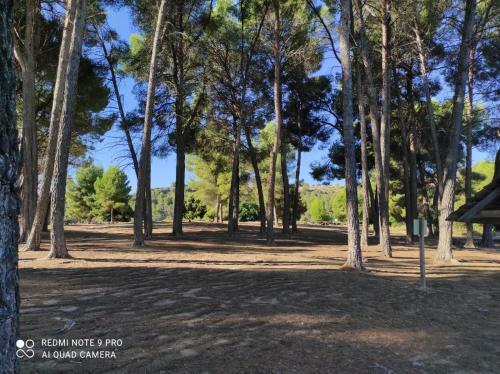 Apartamento Manzanares