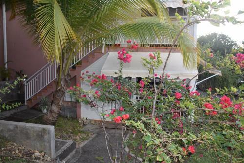 Apartamento Studio Plumbago