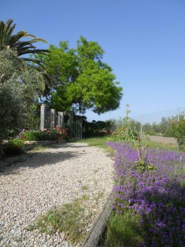 Agroturismo La Aragonesa