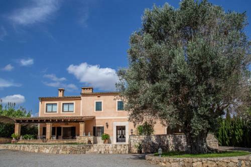 Villa Finca Son Moix
