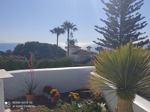 Villa Petit Paradis