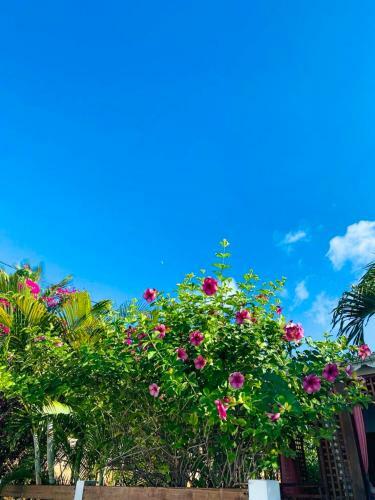 Villa R�sidence La Manoula