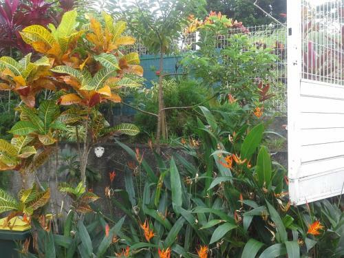 Apartamento Chez R�gine