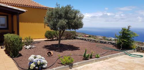 Casa De La Vaca