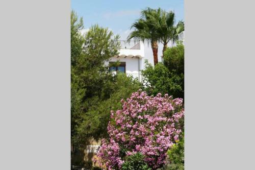 Ca Buganvilla. El Coraz�n de La Huerta Valenciana