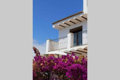 Ca Buganvilla. El Coraz�n de La Huerta Valenciana
