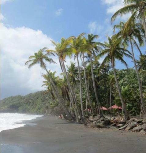 Apartamentos G�tes Plais'anse