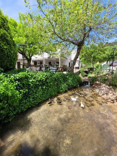 Hostal Pensi�n Pradera