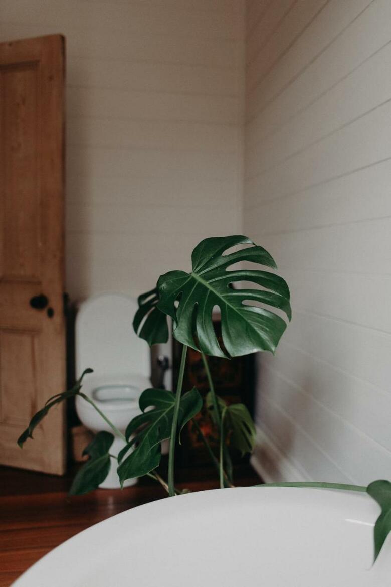 Lovingly Restored Home In Central Albany