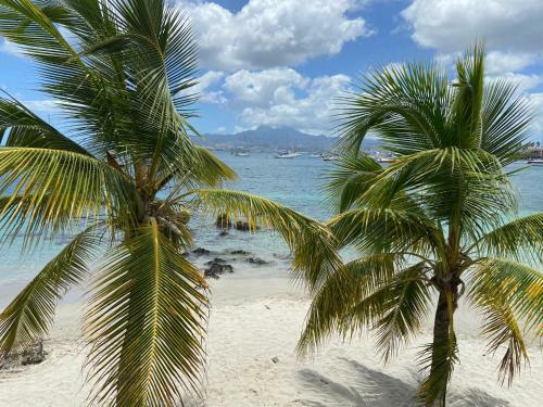 Apartamento Studio 3 Ilets Pieds Dans L Eau Et Piscine