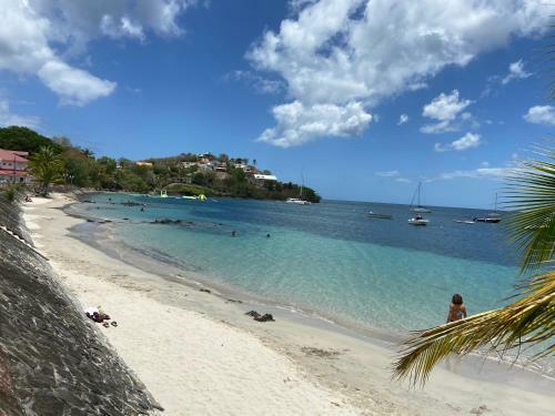 Apartamento Studio 3 Ilets Pieds Dans L Eau Et Piscine