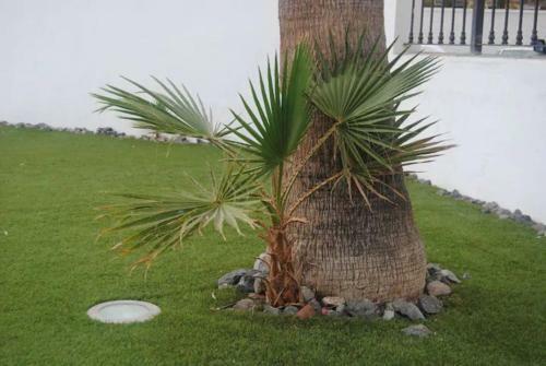 Apartamentos H�bitat Tropical