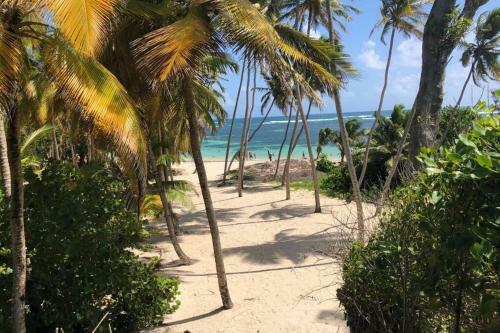 Apartamento Tropicool