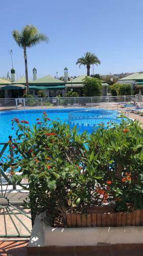 Sweet Apartment Maspalomas