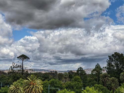 Apartamento The Botanical 402