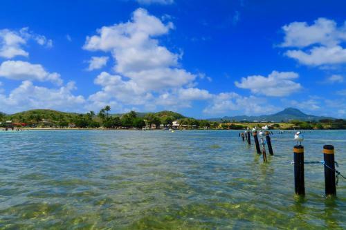 Apartamento Studio Frangipani Dans Villa Fleurs Des Iles