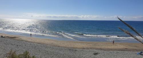 Sunsea