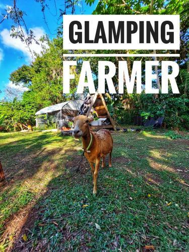 Glamping Farmer