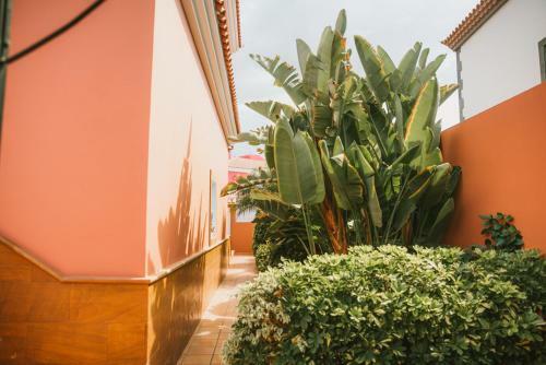 Villa Morada Sonneland Con Piscina Privada Climatizada