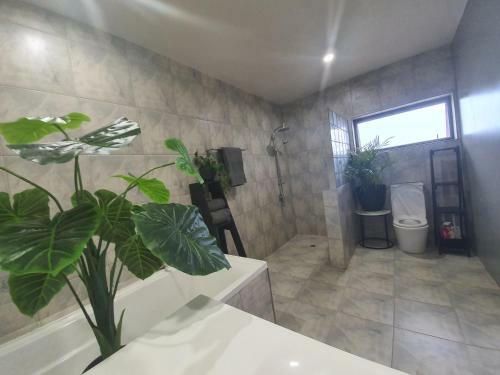 Villa Terama Retreat